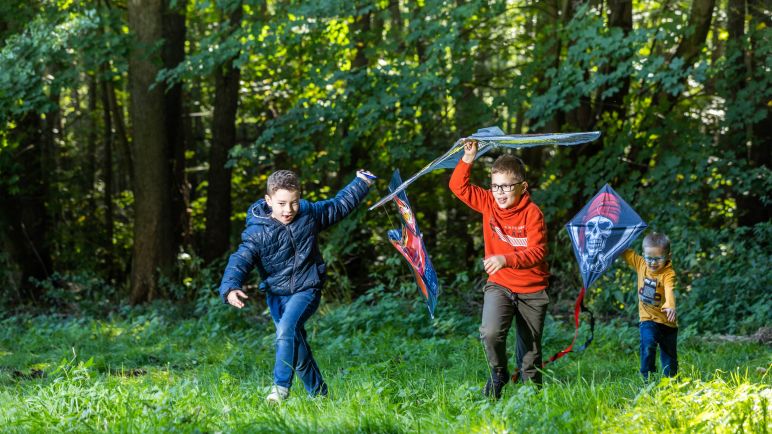Drei Kinder spielen mit Drachen